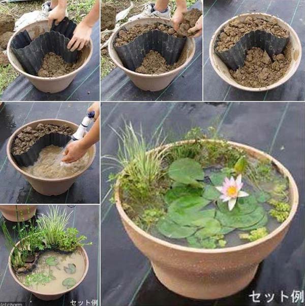 AD-Mini-Pond-In-A-Pot-1