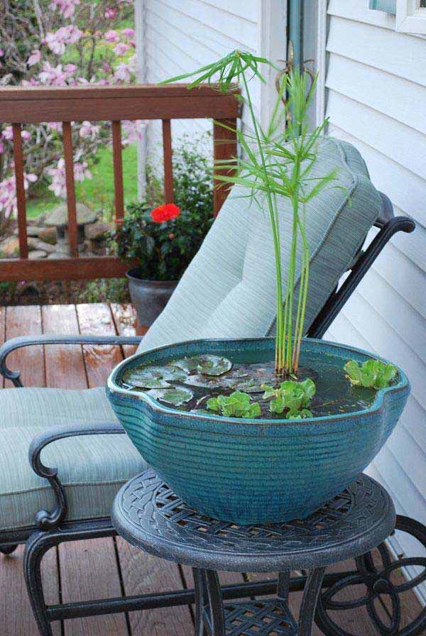 AD-Mini-Pond-In-A-Pot-3