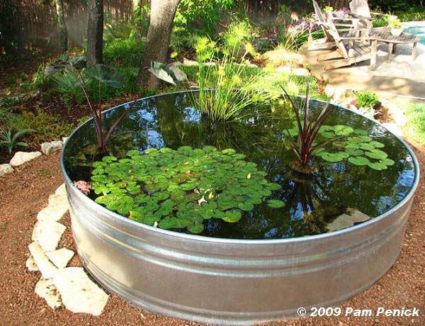 AD-Mini-Pond-In-A-Pot-5
