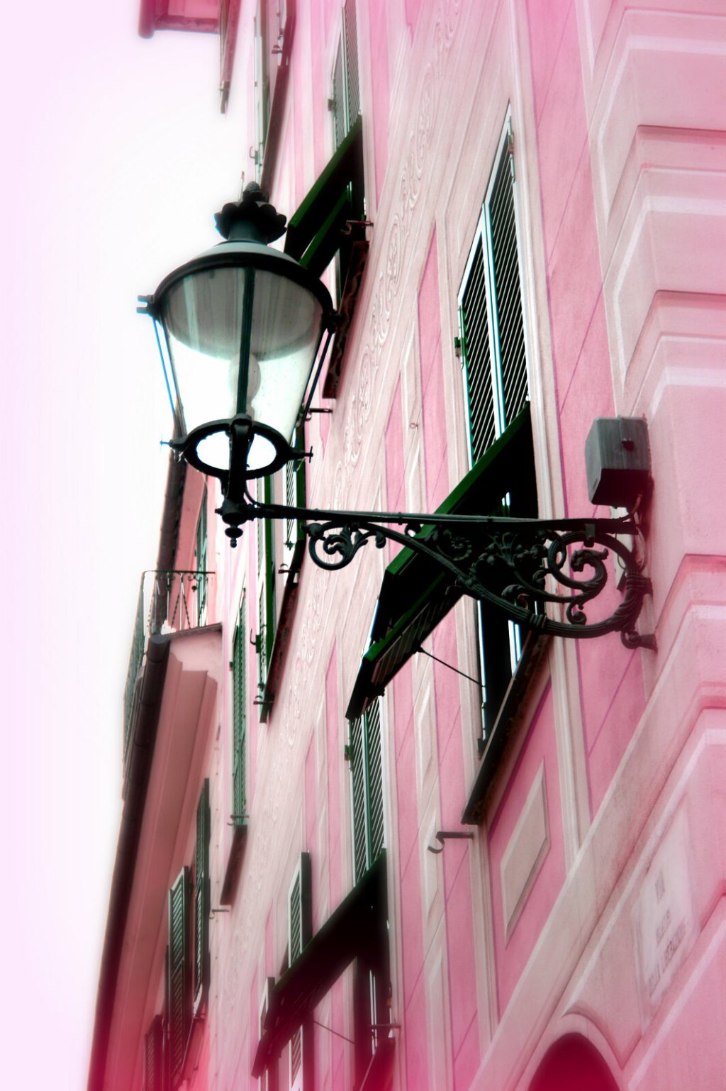 La vie en rose&nbsp;🌹